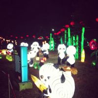 chinese_lantern_festival_23.JPG